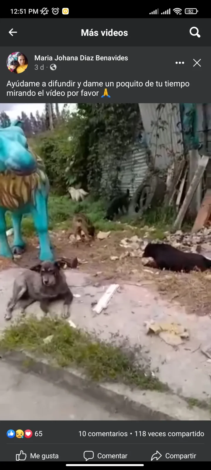 mascotas