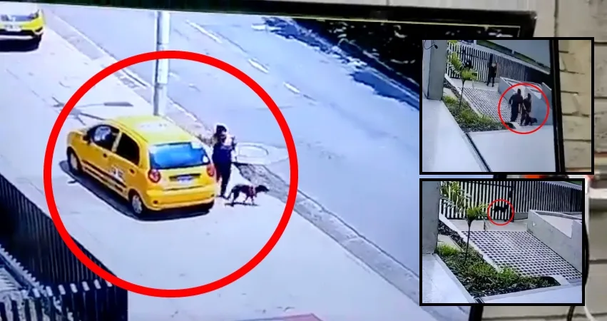 Llegó con el perro a Bienestar Animal de Cali, lo hizo atender y luego lo tiró a la calle, ahora la buscan "para que responda"
