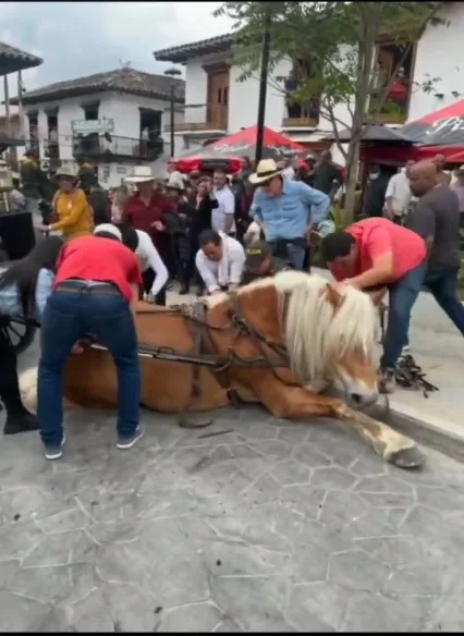 en antioquia