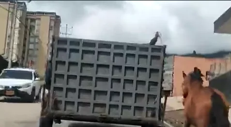 de un caballo