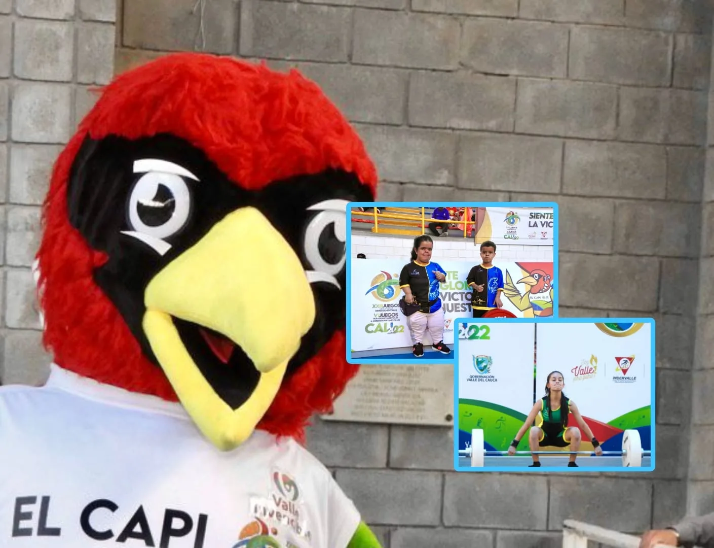 Palmira y Cali entre los municipios que lideran tablas de medallerías en competencias deportivas del Valle del Cauca