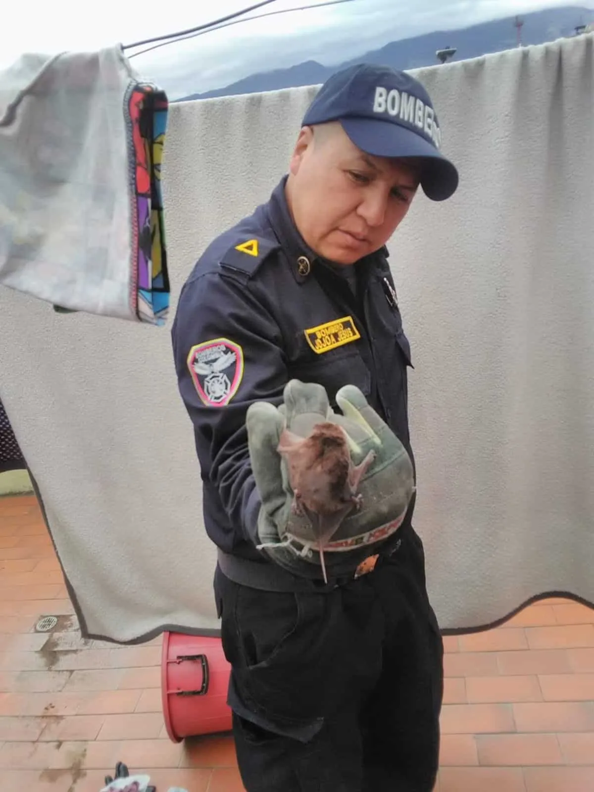 “No sólo protegemos la vida humana, también la de los animales”, bomberos de Pasto