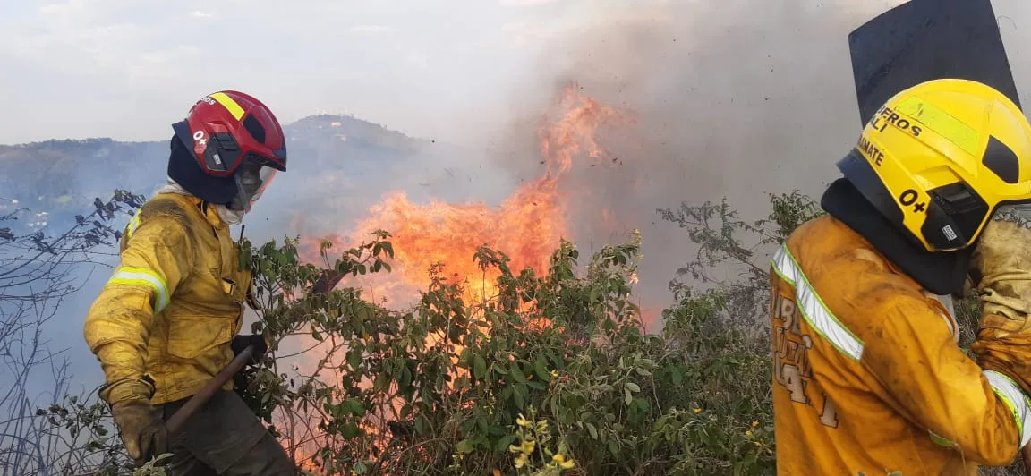 "Está muy fuerte", primer incendio forestal de la temporada seca en Cali