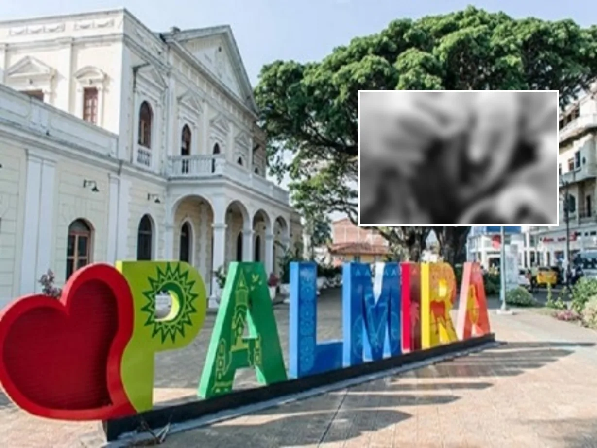 en palmira