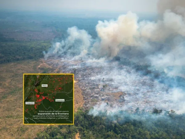 #SosGuaviare incendios Chiribiquete