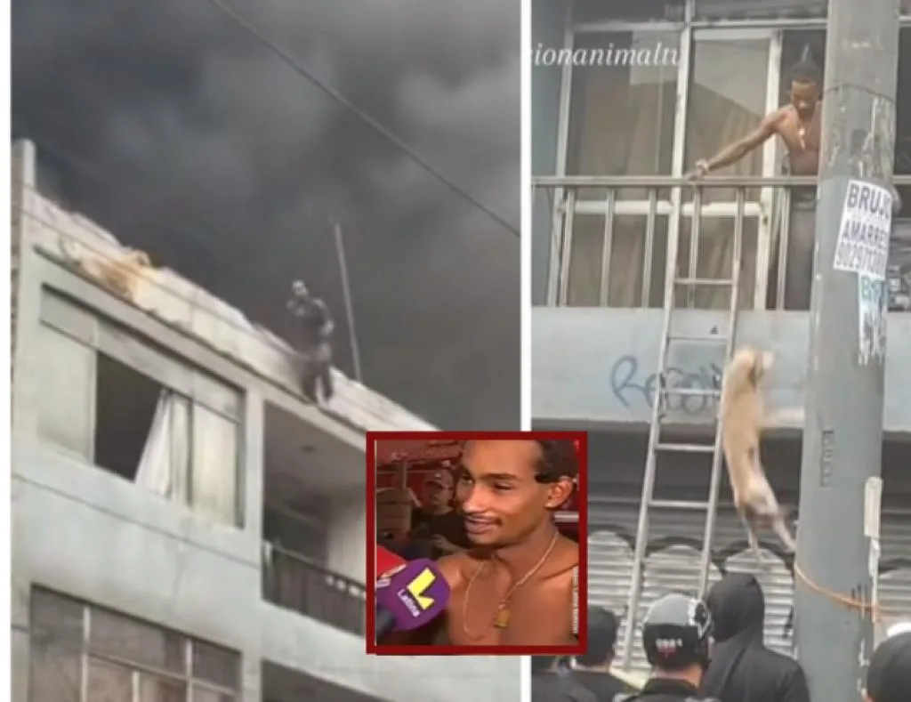 Entre humo y llamas, Sebastián salvó a 25 perros de un incendio en Perú