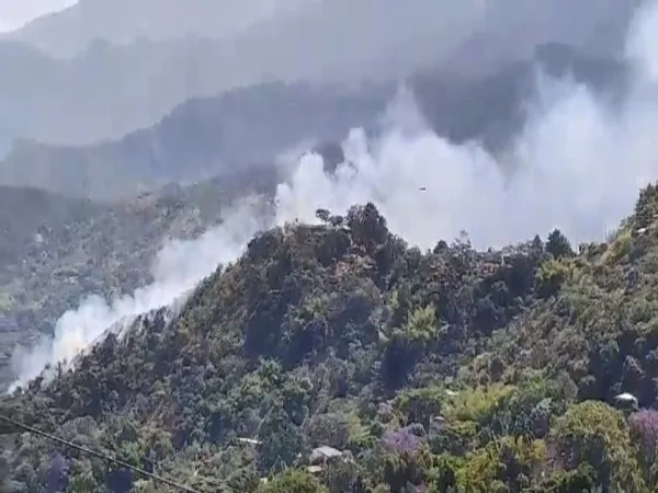 Cinco hectáreas de vegetación afectadas por incendio forestal en la vía Cristo Rey