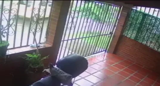 taxi dañó una reja en Cali