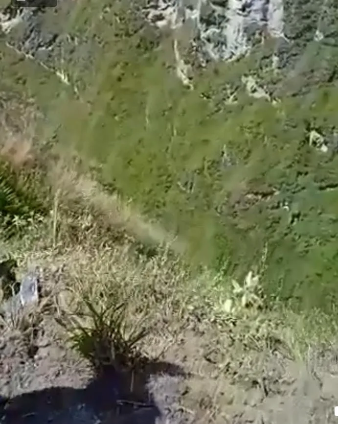 camión niñera abismo