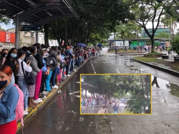 Estaciones colapsadas, rutas demoradas o suspendidas y cierre antes del horario previsto: quejas de usuarios del MIO