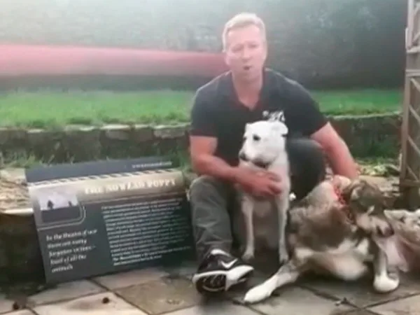 Perros Afganistán