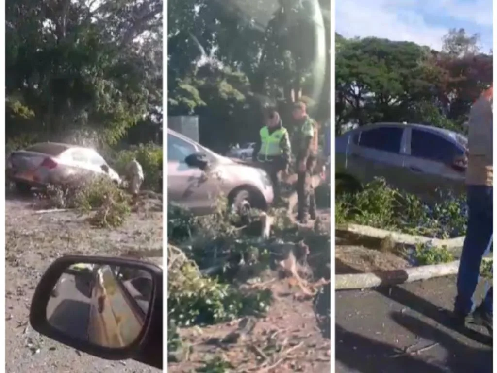 Tuvieron que cortar ramas del árbol, ocupantes del carro heridos: recta Cali - Palmira