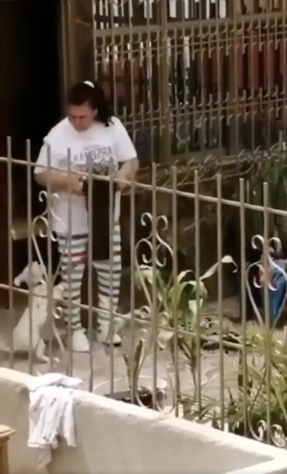 Rechazo a causado un video de maltrato animal en Cali, una mujer golpea con un palo y patadas a un perro