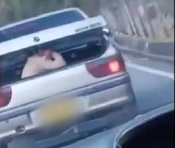 Buesaco niña en una cajuela