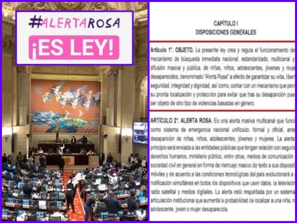 «Alerta rosa ya es ley»: proyecto contra la desaparición de mujeres y niñas