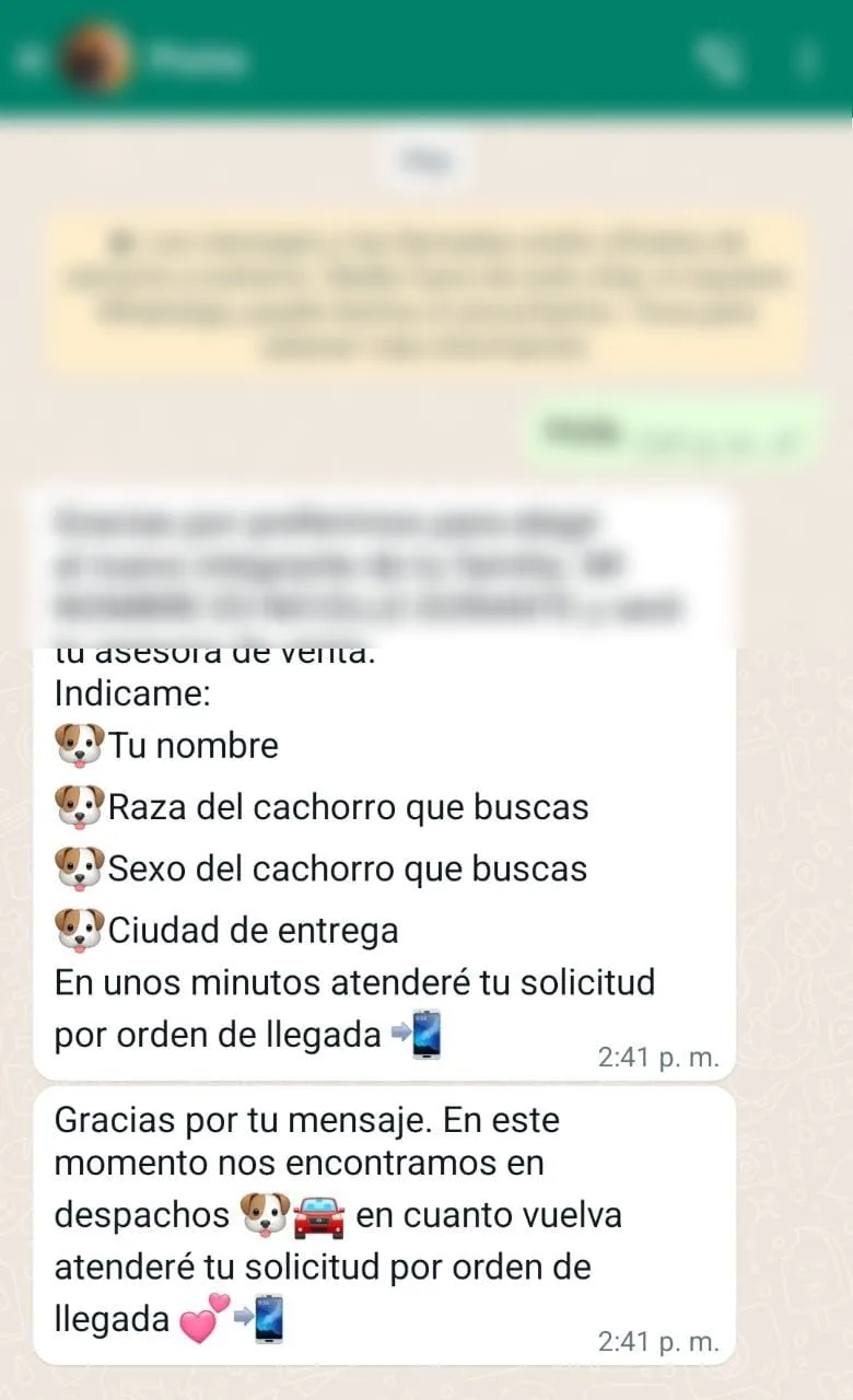 de un perro