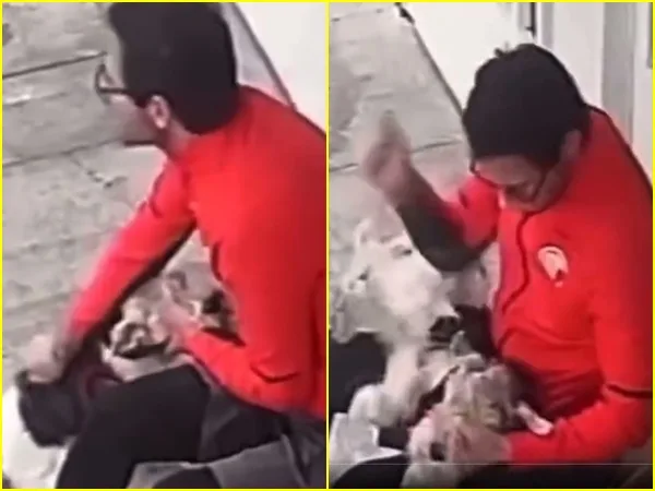 maltrato animal en México