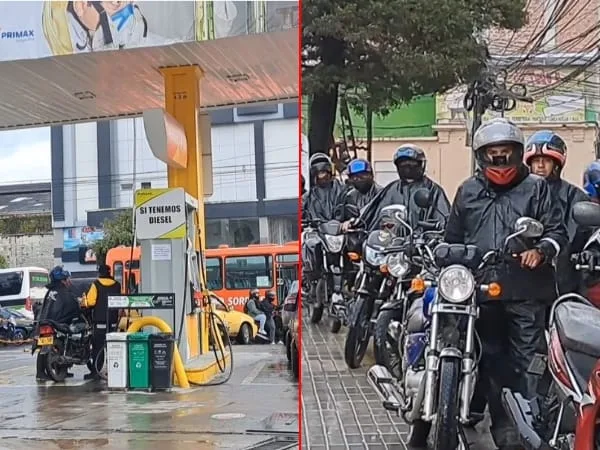 gasolina
