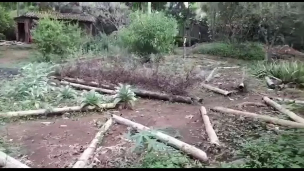 escuela taller de jardinería en Pance