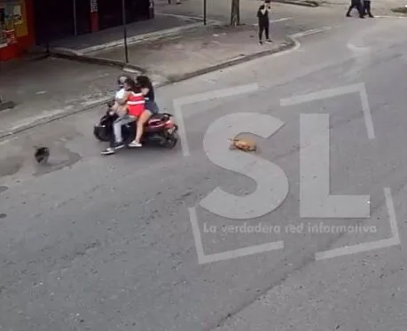 perro moto Villavicencio