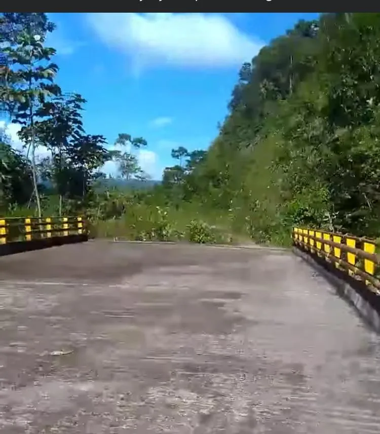 puente Putumayo elefante blanco