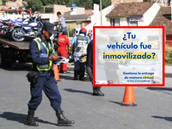¿Tienes tu vehículo inmovilizado? Gestiona de manera virtual su entrega en Pasto