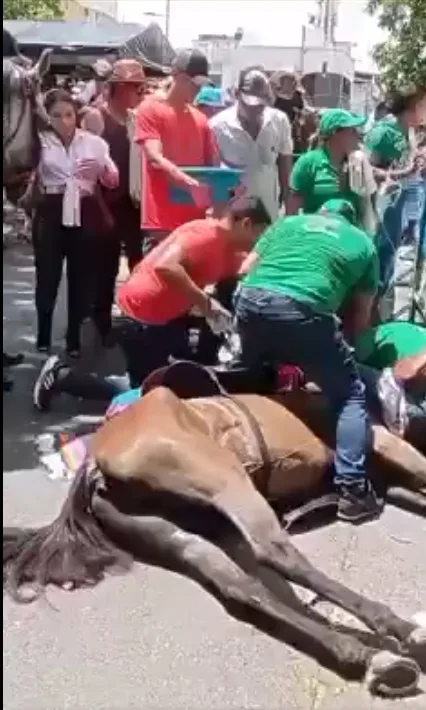 en el espinal