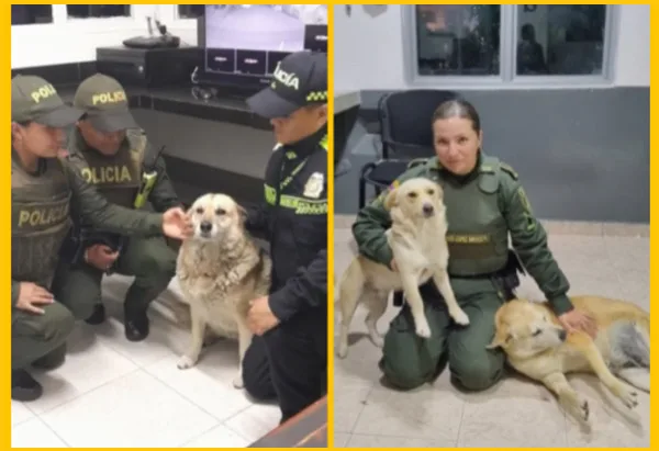 Policía Pasto