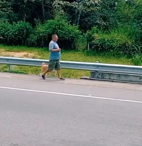 variante en Ibagué