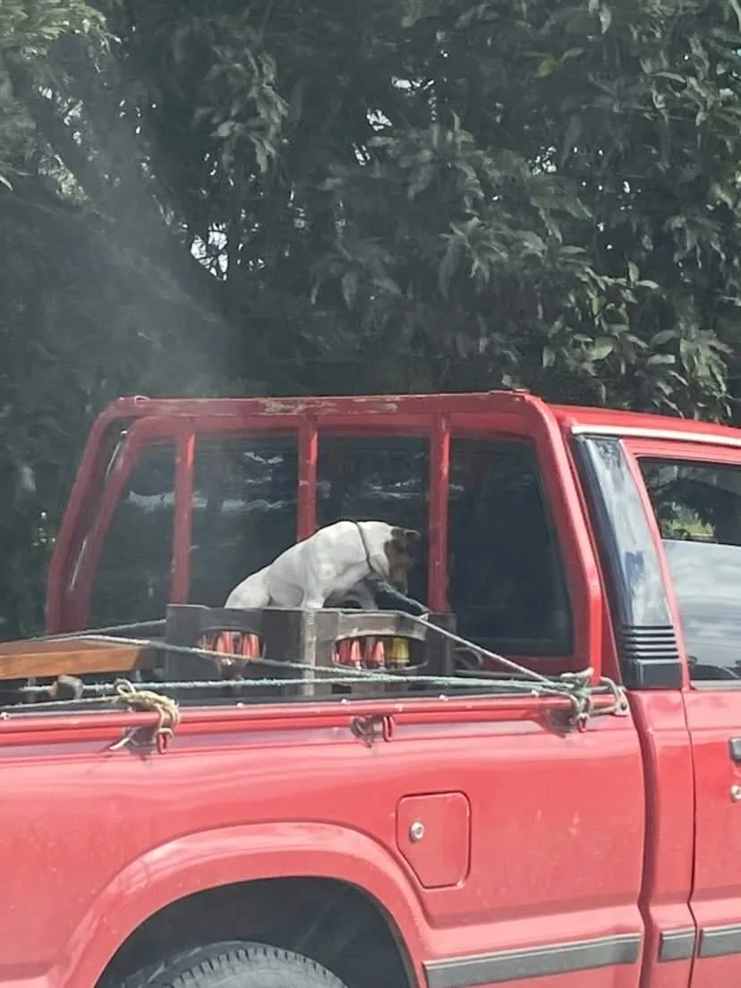 en Cali y Medellín