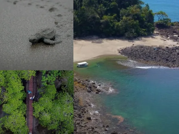 Planes para hacer en Bahía Solano, Chocó