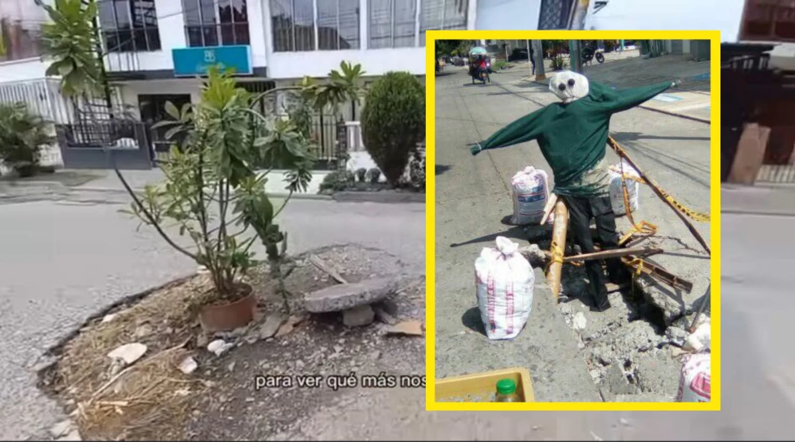 Con 'año viejo' y con materas, la desesperación de los caleños por tapar los huecos de su ciudad