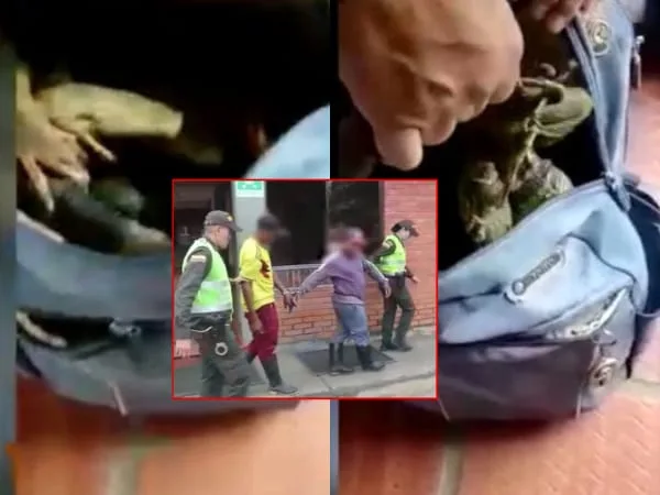 iguanas en Pance en Cali
