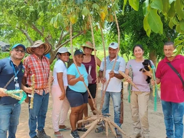 Avanza del proyecto Yuca País con productores del departamento del Cesar
