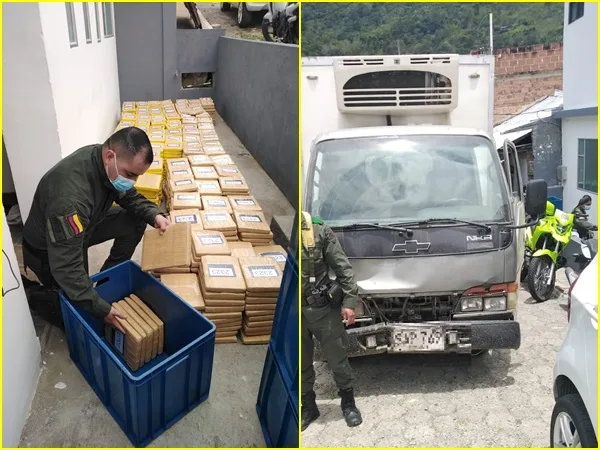 marihuana oculta en recortes de pollo