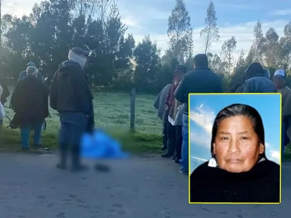 Doña Elena cruzaba por la calle, fue arrollada por un vehículo y por el impacto, murió