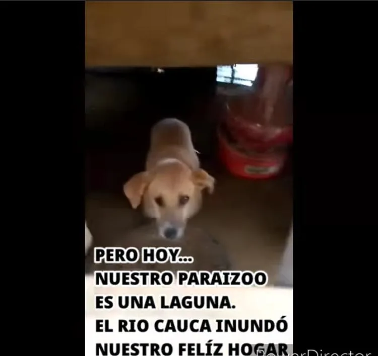 albergues inundados emergencias Valle
