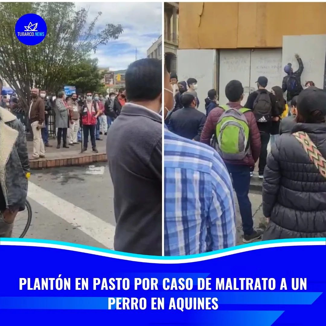 Banco Popular caso maltrato perro