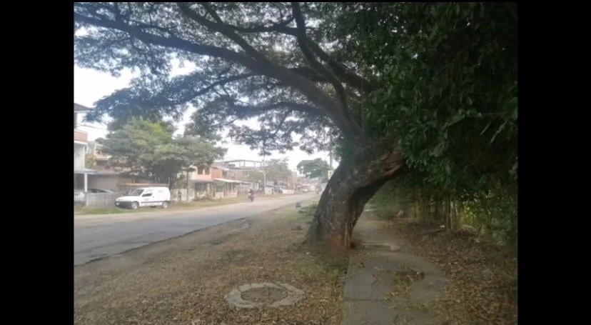 samanes Calle Quinta Santander de Quilichao
