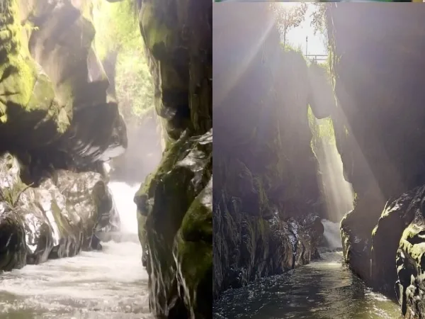Descubre Puente Piedra: un paraíso Ecoturístico en Ginebra,Valle