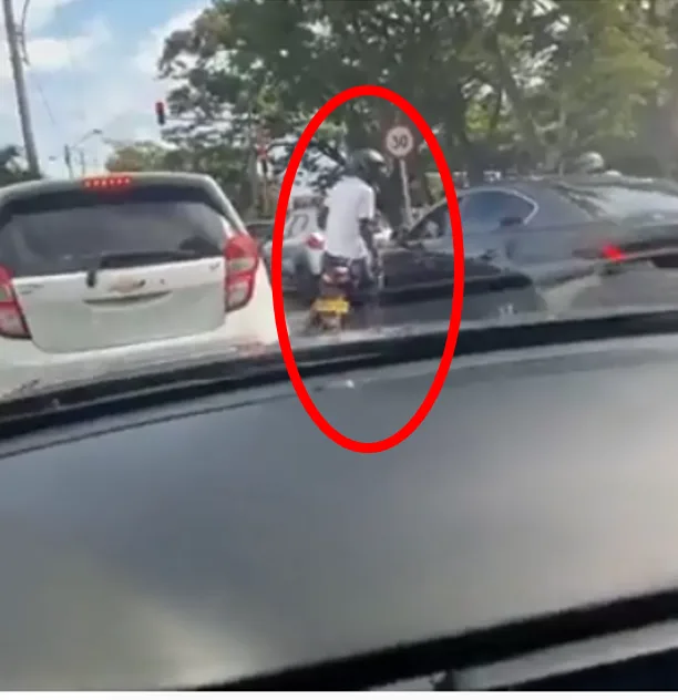 motorizados 