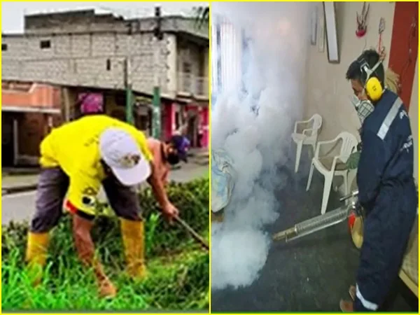 Se dispararon los casos de dengue en Tumaco, ya van 125 casos y dos muertes por posible contagio