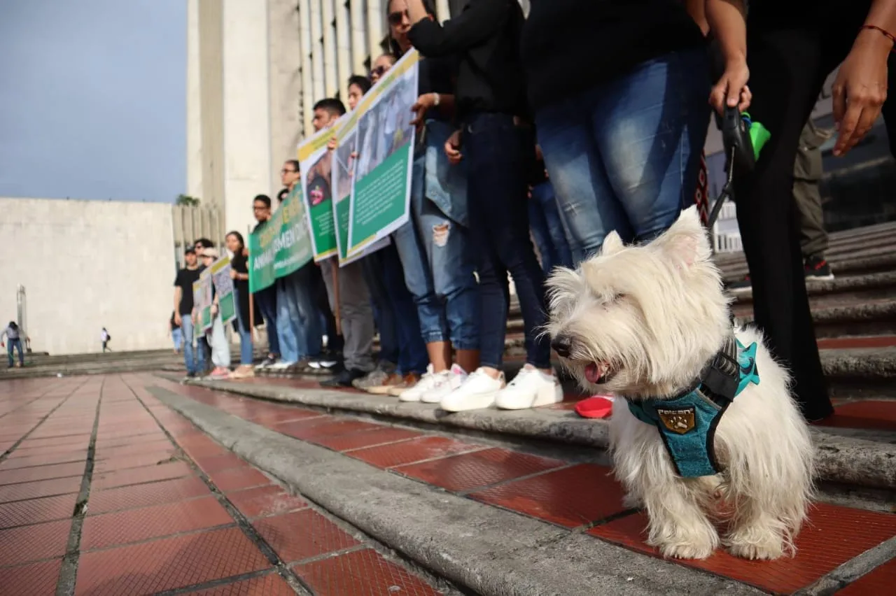 lo pólvora en Cali