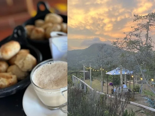 Café de las Hadas: acogedor lugar para visitar con tu mascota, buena comida y la mejor vista en Dapa, Valle
