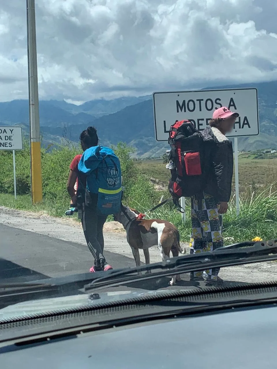 perros