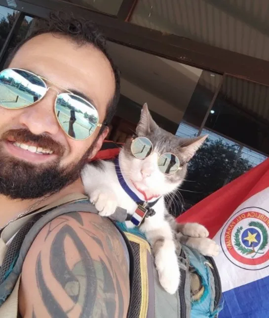 Gato Mochilero Bella Creación
