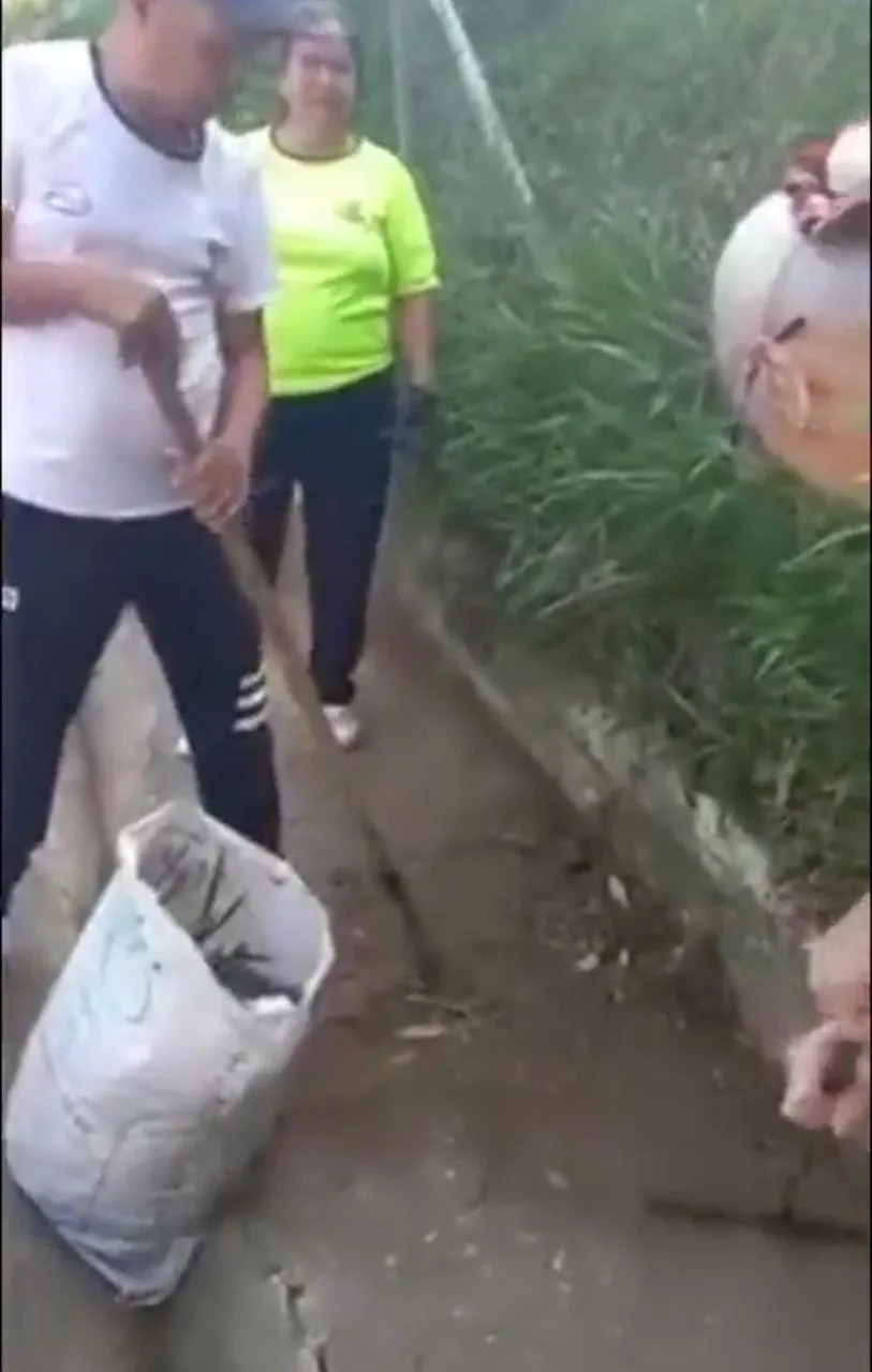 Basura Cali