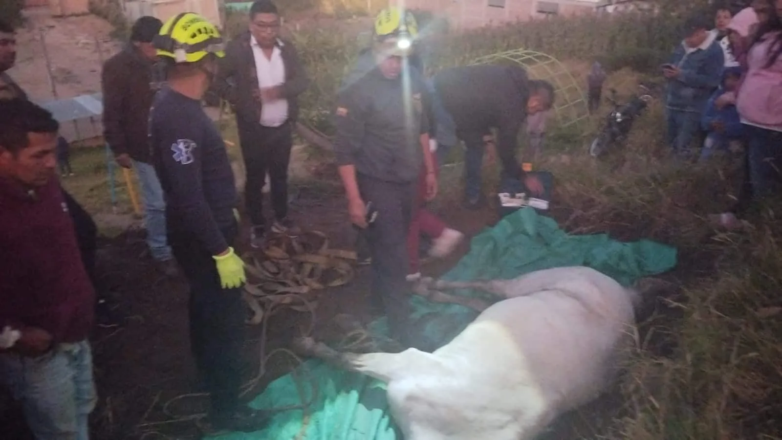 Bomberos y comunidad rescataron una yegua que sufrió una caída accidental de unos 5 metros, en Ipiales
