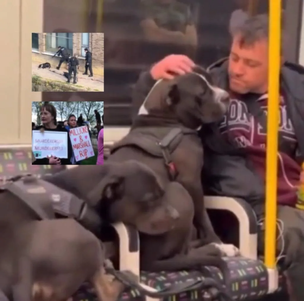 "Los policías deben pagar": los perros Marshall y Millions "fueron asesinados" y hay indignación en Londres
