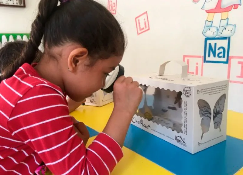 Alas de Colombia, mariposas nativas LTDA uno de los negocios verdes del Valle del Cauca